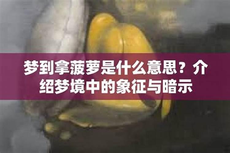 梦见菠萝是什么意思