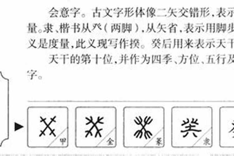 葵字五行属什么