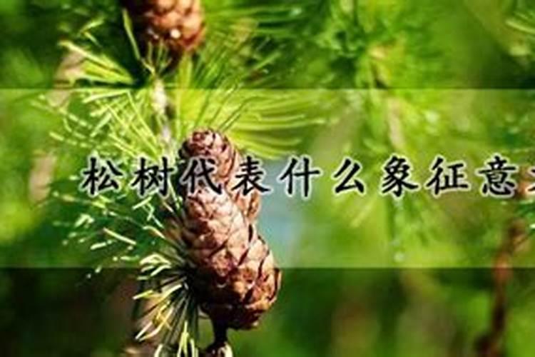 今天财神在哪个方向