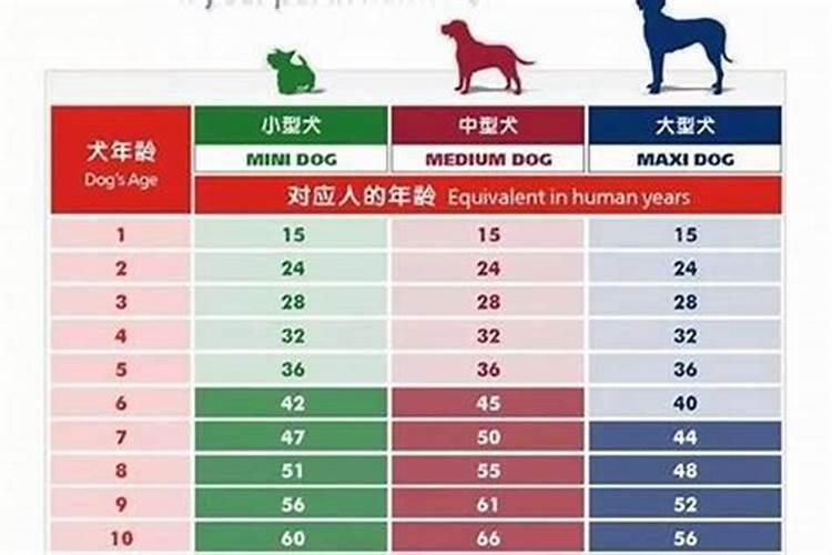 2023年属狗的多大年龄了