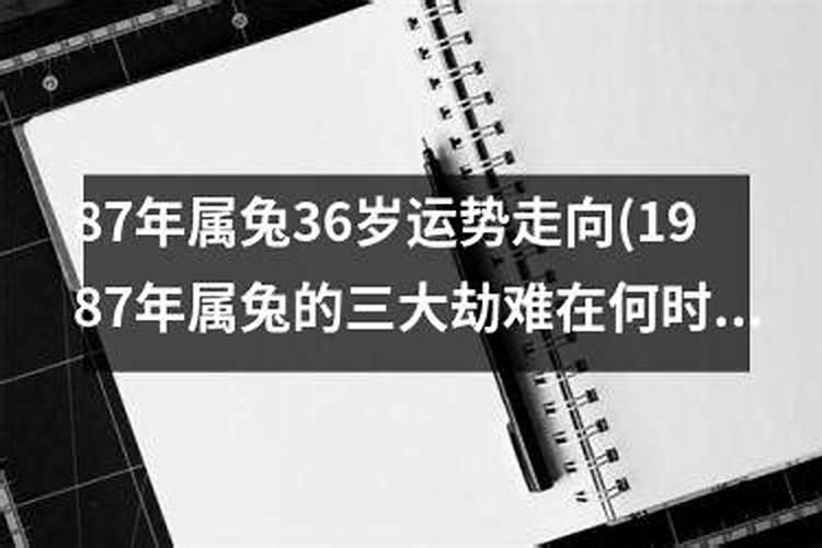 87年属兔的三大劫难