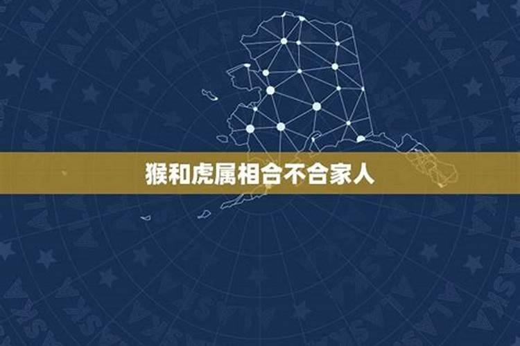 家庭成员属相合不合