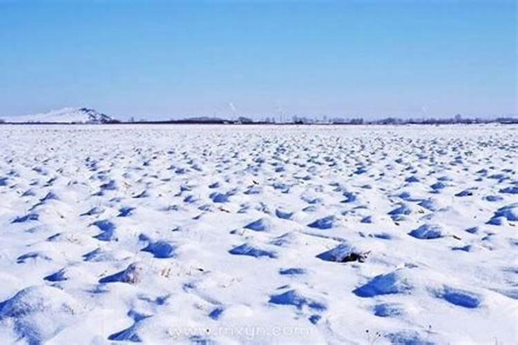 女人夏天梦见白雪铺满地