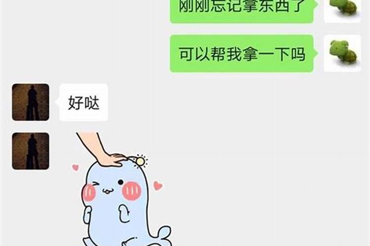 属鼠男不回信息什么意思