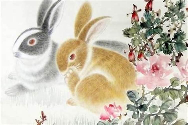 1951年属兔的是什么命