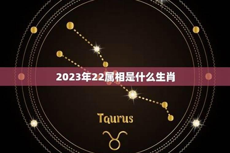 22属相是什么生肖2021