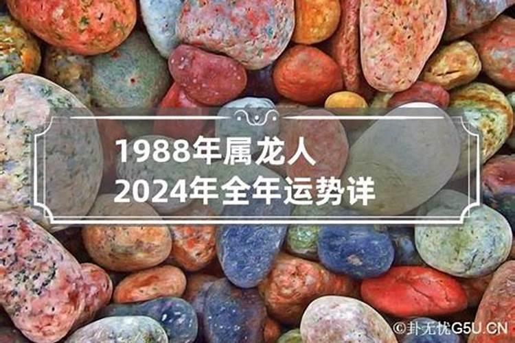 1988年属龙人2023年运势运程男