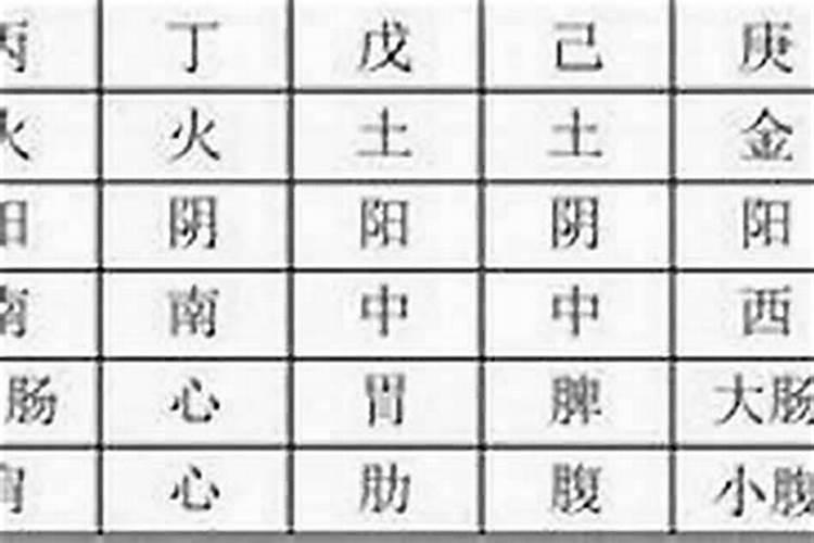 学八字需要几年