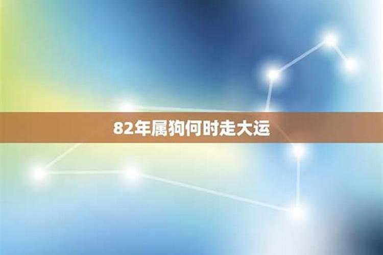 82年属狗的人什么时候走大运