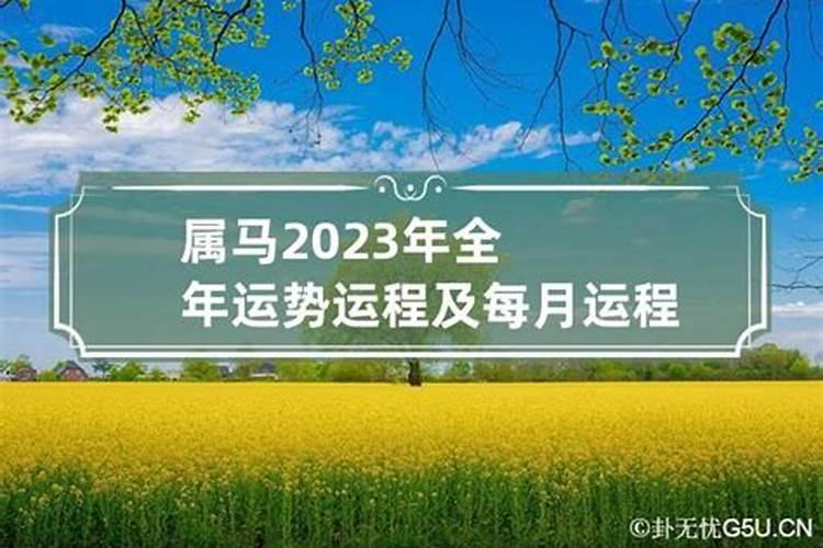 属马的2023年全年运势