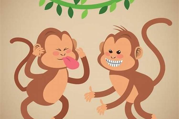 猴女和什么属相最般配呢婚姻