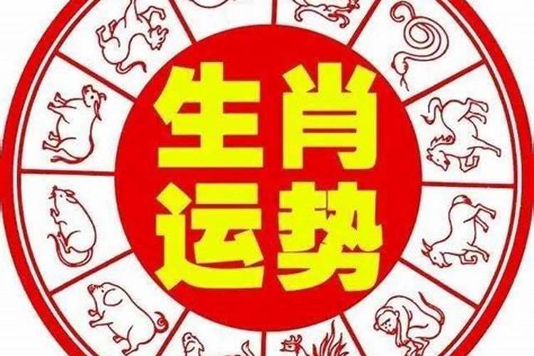 定是什么生肖