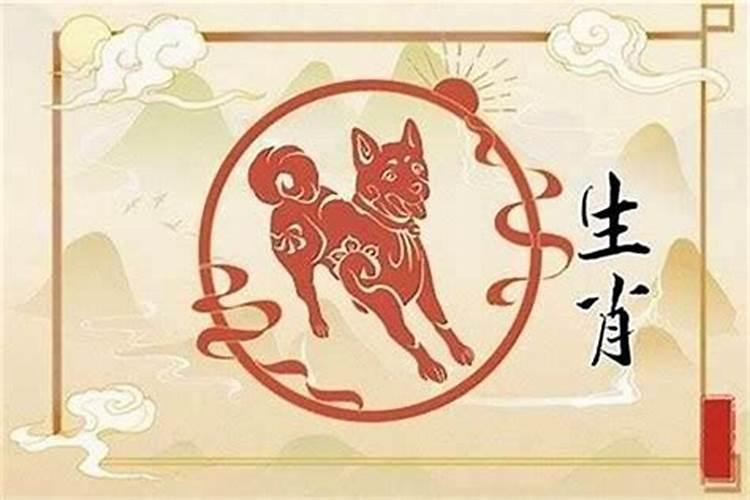 属狗人今年怎么破解