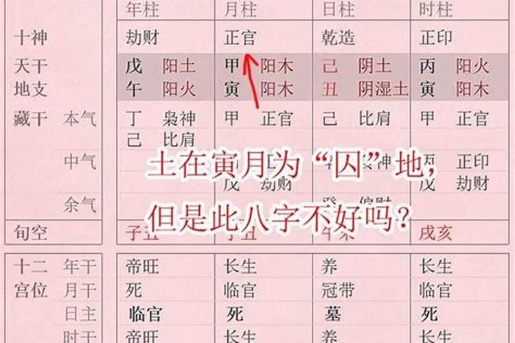 八字不得月令身强