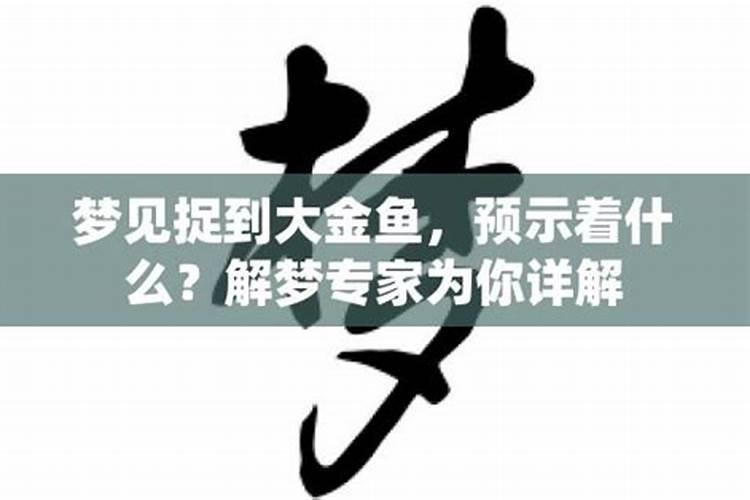 梦见抓金鱼是什么意思