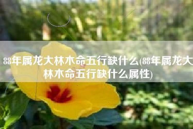 梦见冥币是什么意思