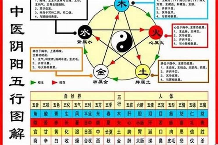 84年属鼠什么命