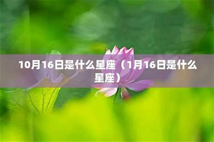 1月16号是什么星座