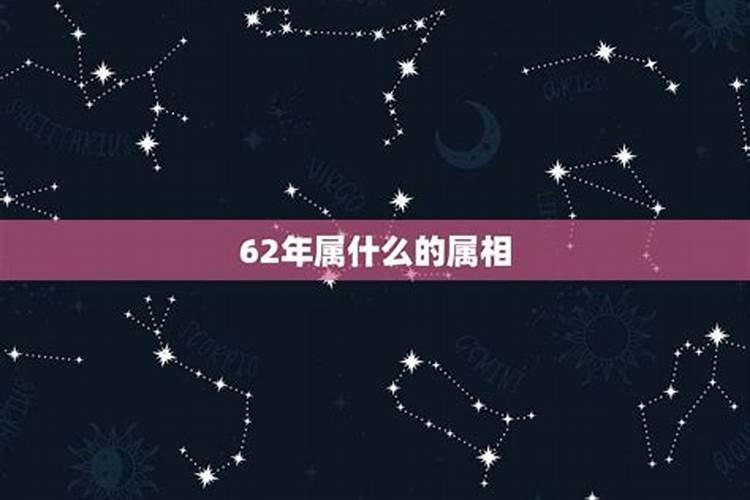 62年属什么的