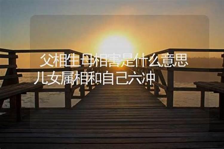 属相相害是什么意思