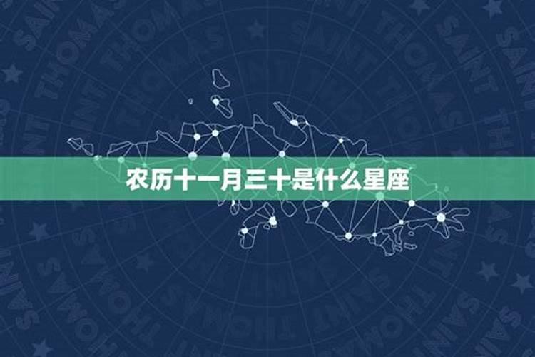 11月是什么星座的