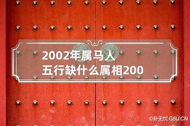 2002年五行属什么命