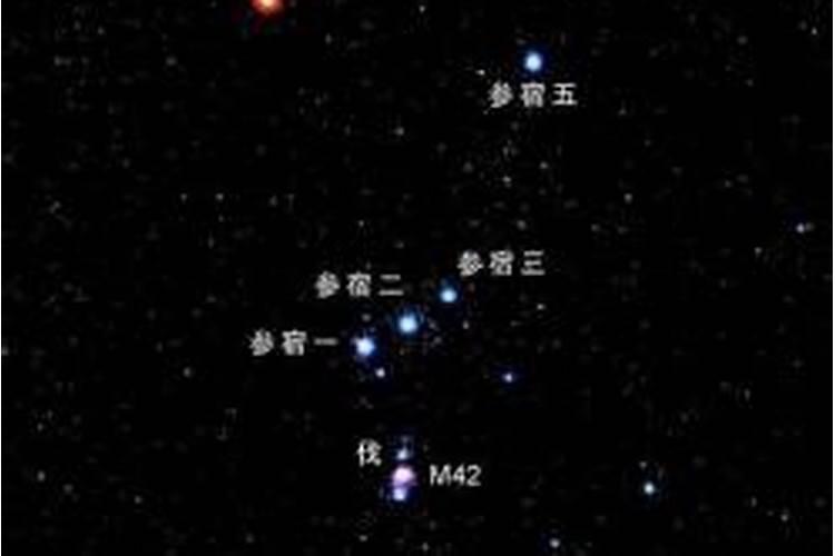 12.3什么星座