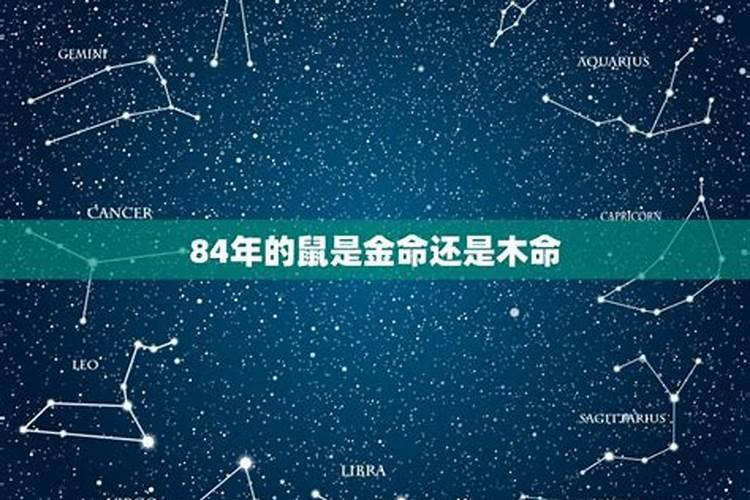 属鼠的是什么星座