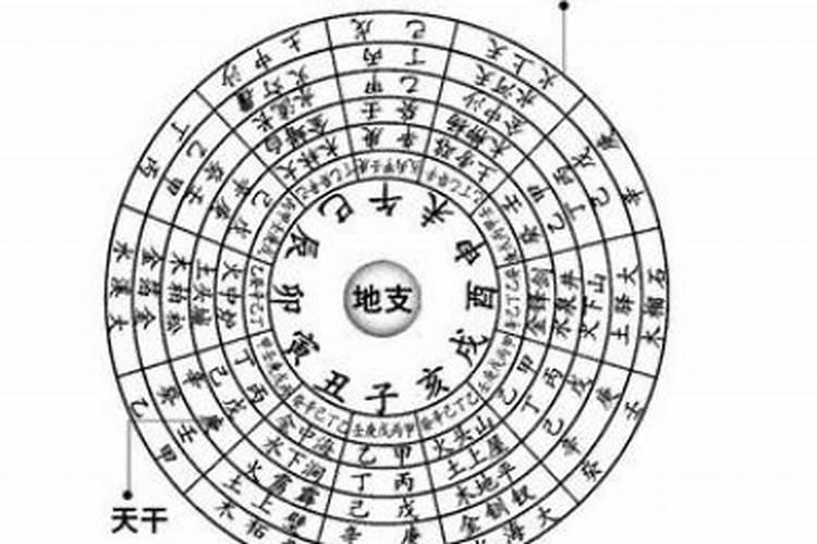 乐五行属什么的