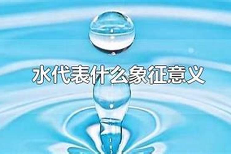 水代表什么生肖