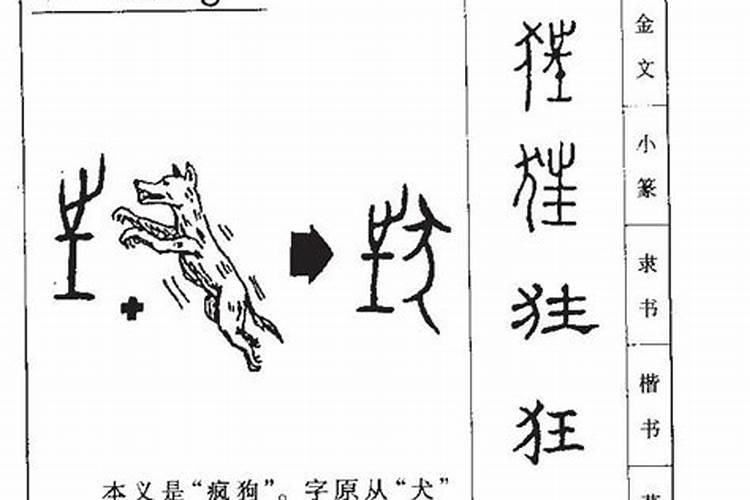 狂字五行属什么