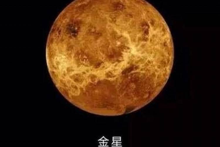 怎么看金星落在什么星座