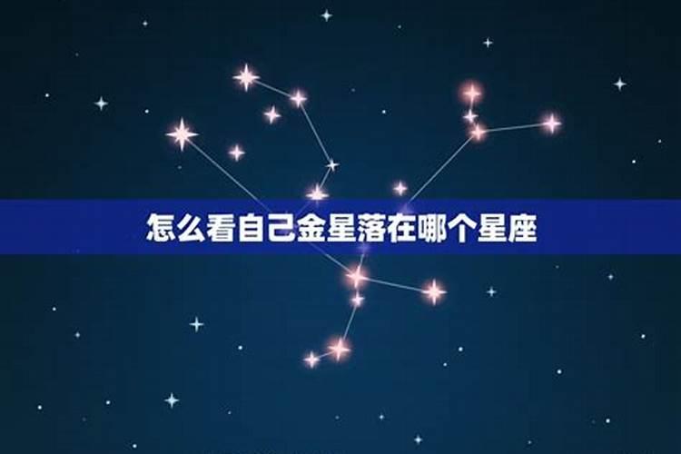 怎么看金星落在什么星座