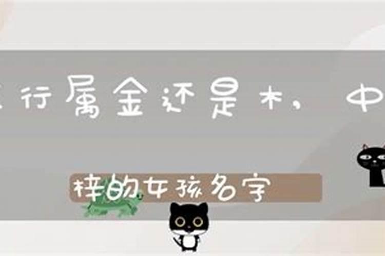 梓五行属性是什么