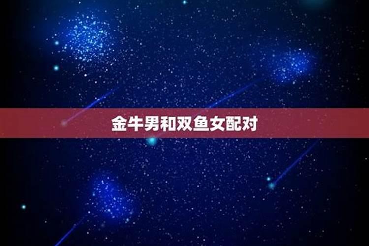 梦见自己和前任结婚了是怎么回事阿拉斯加雪橇