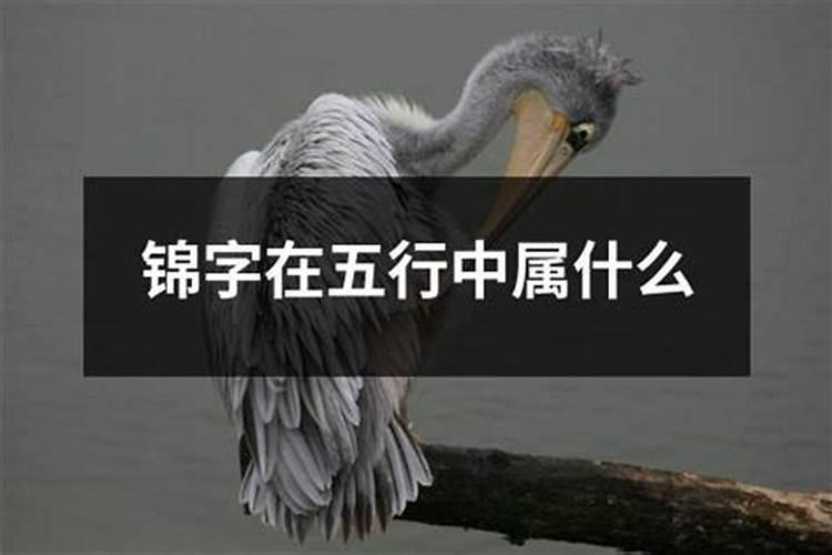 锦五行属什么