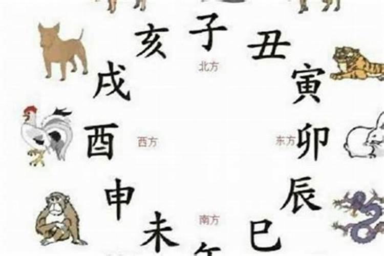 淘字五行属什么的