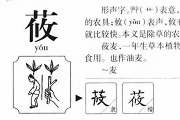 筱字五行属什么