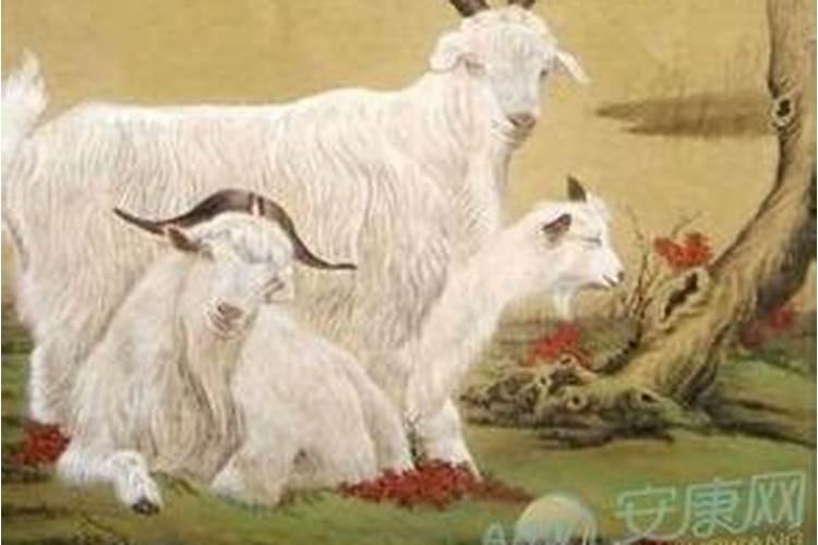 羊和什么生肖最配