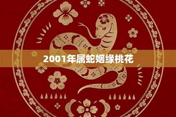 2001年出生属什么