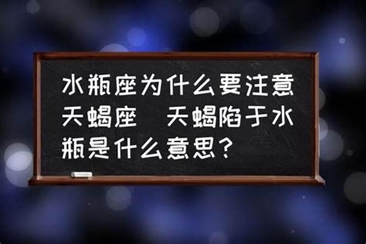 巨蟹座怎么追射手座