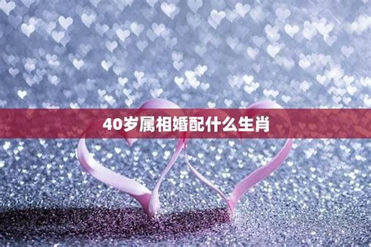 40岁属什么生肖