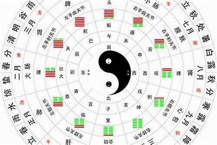 星五行属性是什么