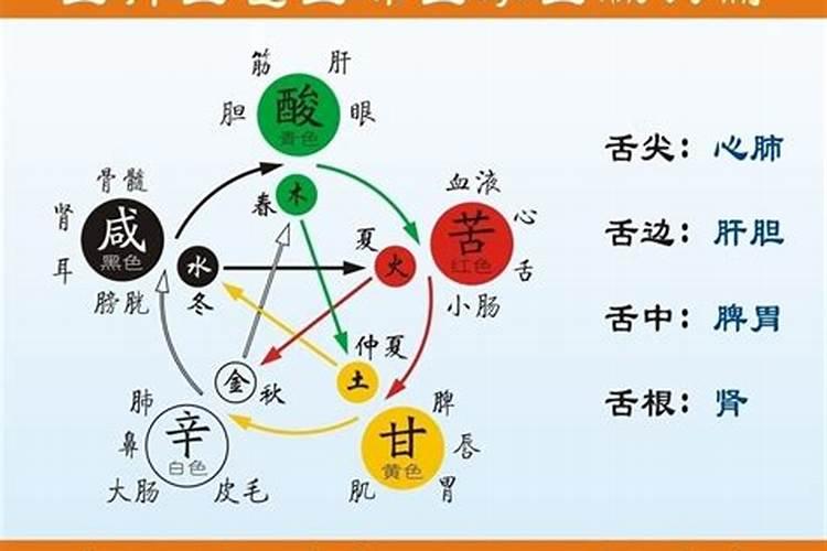 阴历5月13日是啥星座