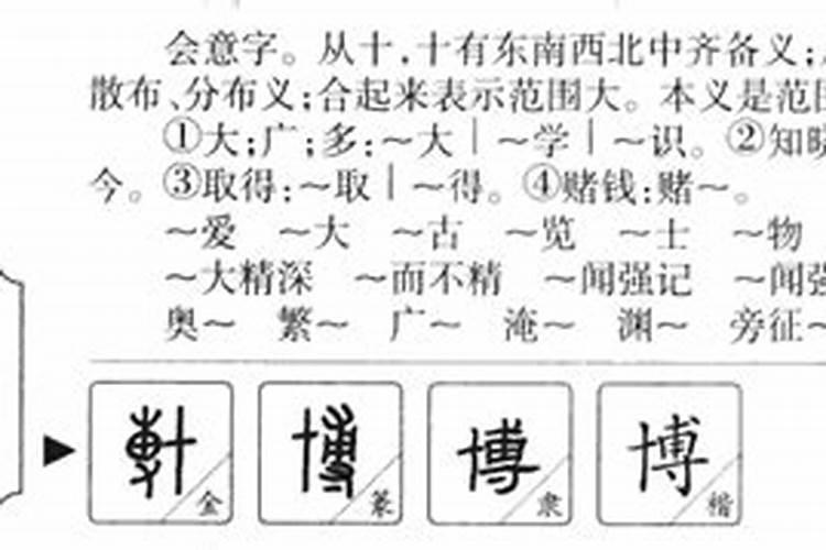 一字五行属性是什么