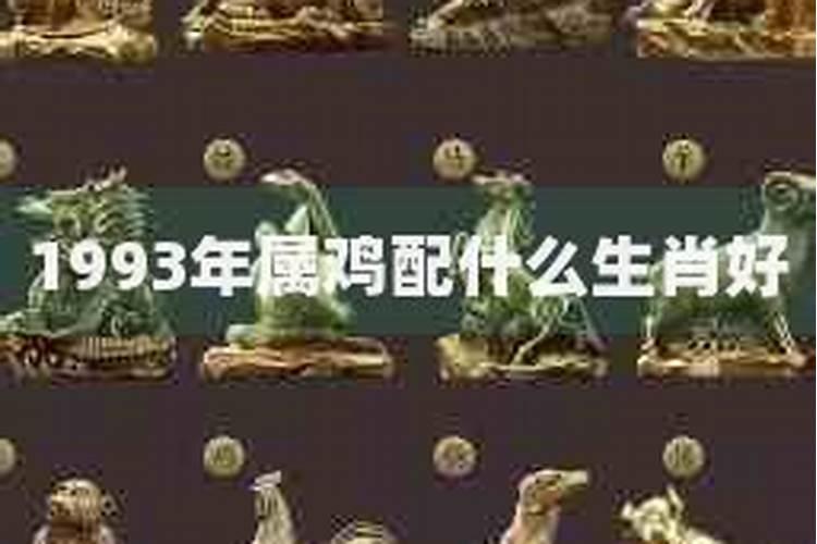 1993属什么生肖