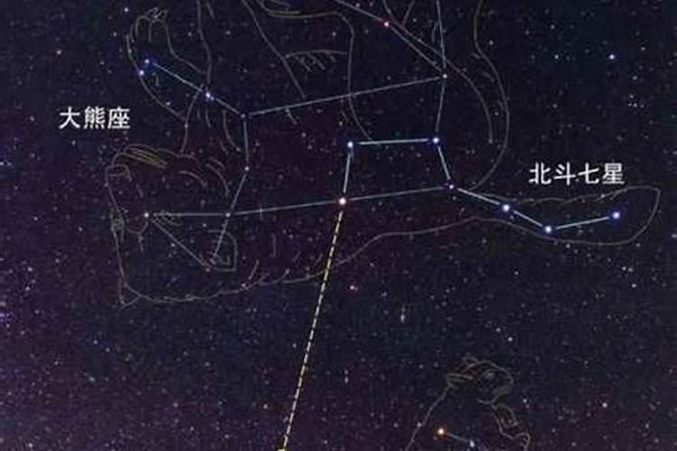 北极星位于什么星座