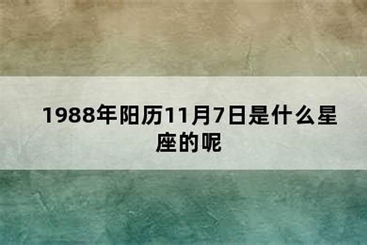 11月8日什么星座