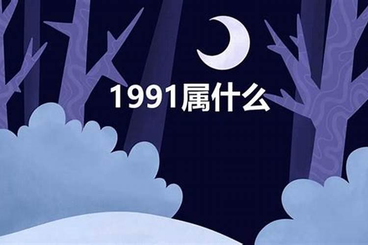 91年属什么的