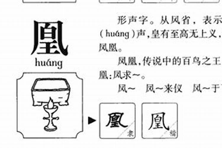 凤字五行属什么